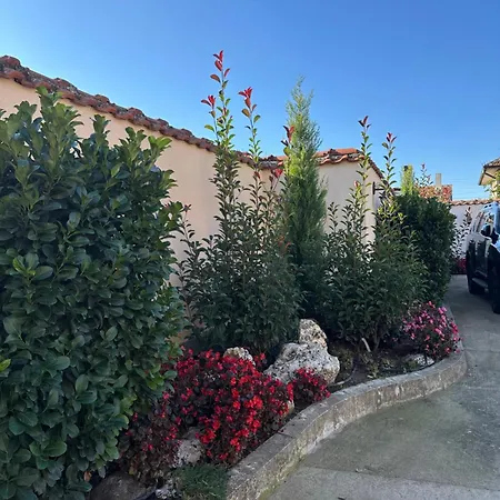 Georgia 3* Lyubimets