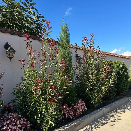 Georgia 公寓式酒店 Lyubimets